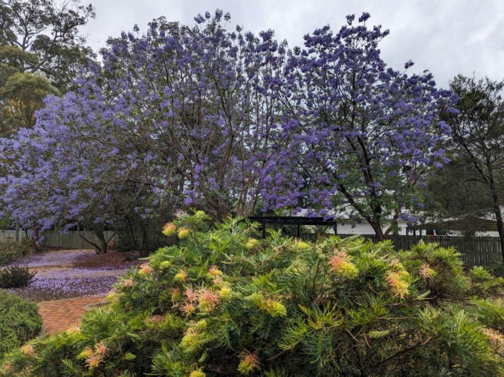 Gardens at St Anne's church in Highfields
