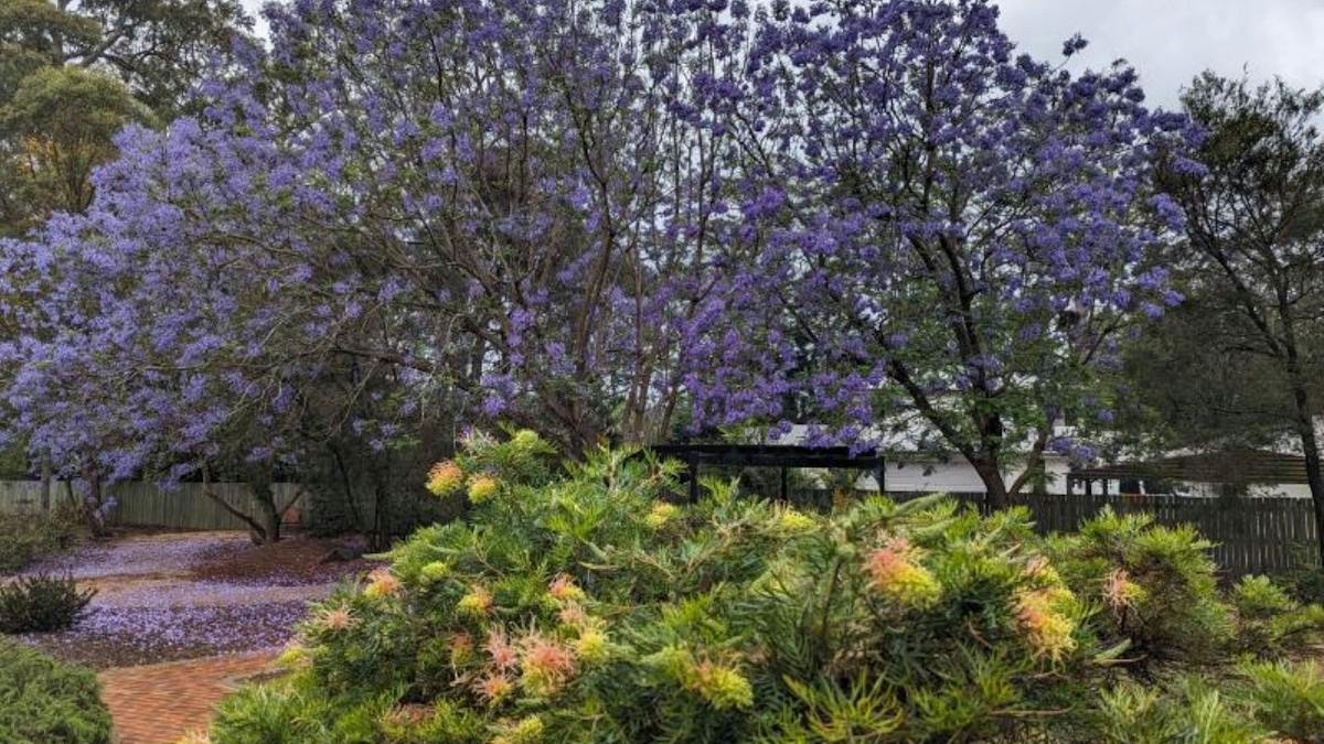 St Annes Anglican Church In Highfields | Attractions | Queensland