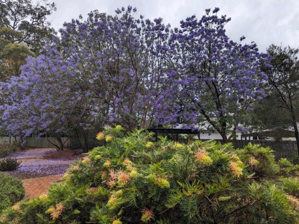 Gardens at St Anne's church in Highfields