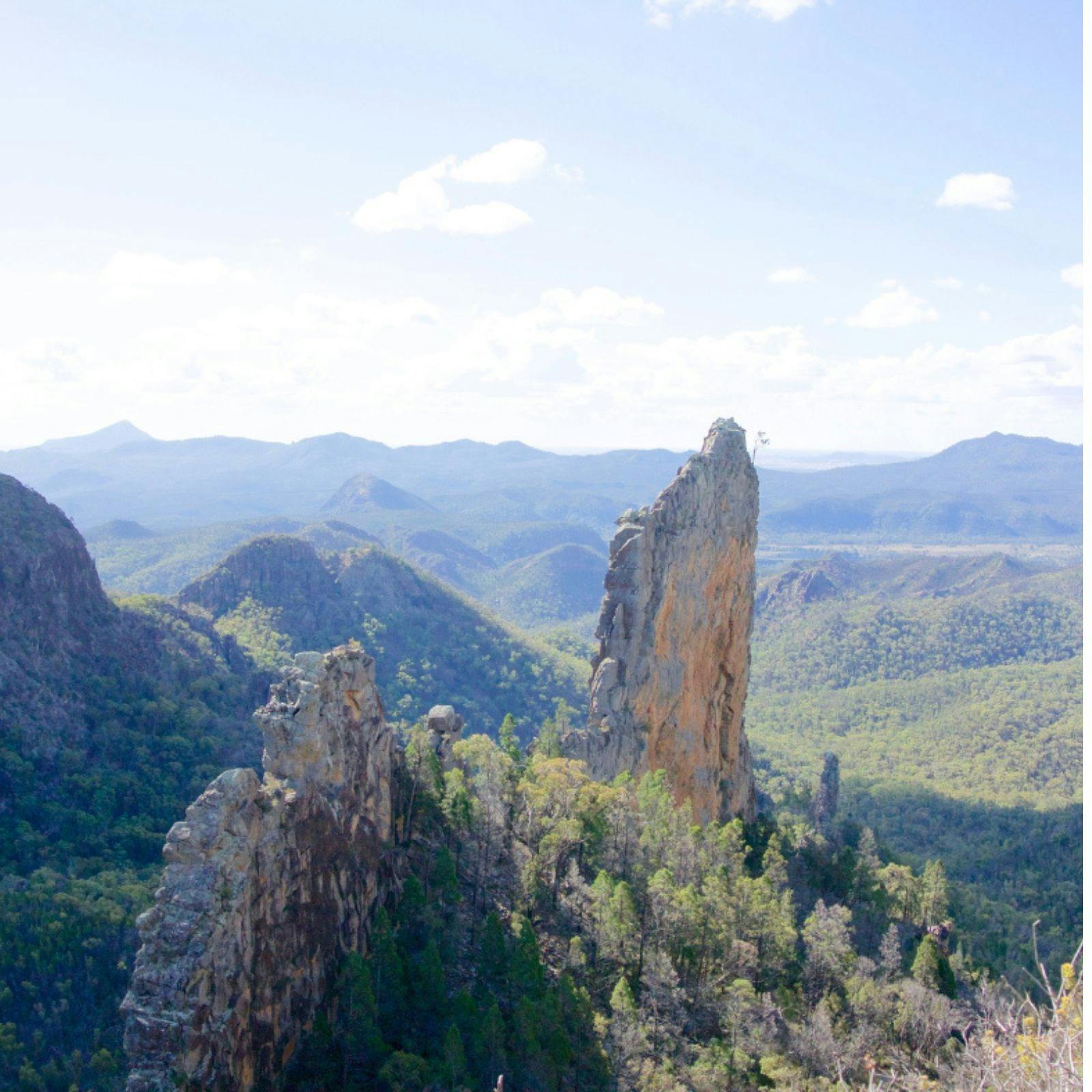 Bluff Mountain