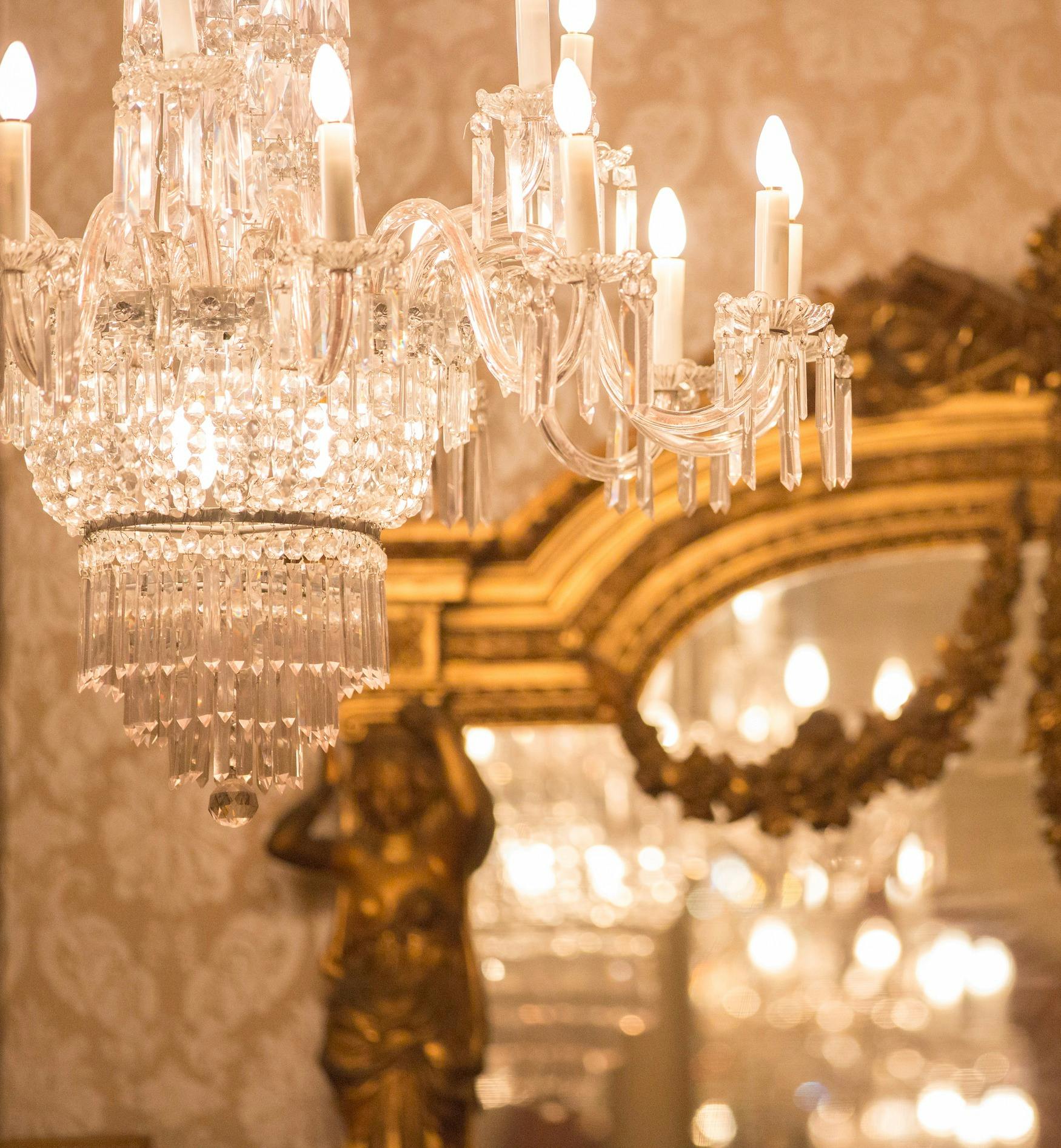 Adelaide Town Hall: Guided Tour in French Slider Image 1