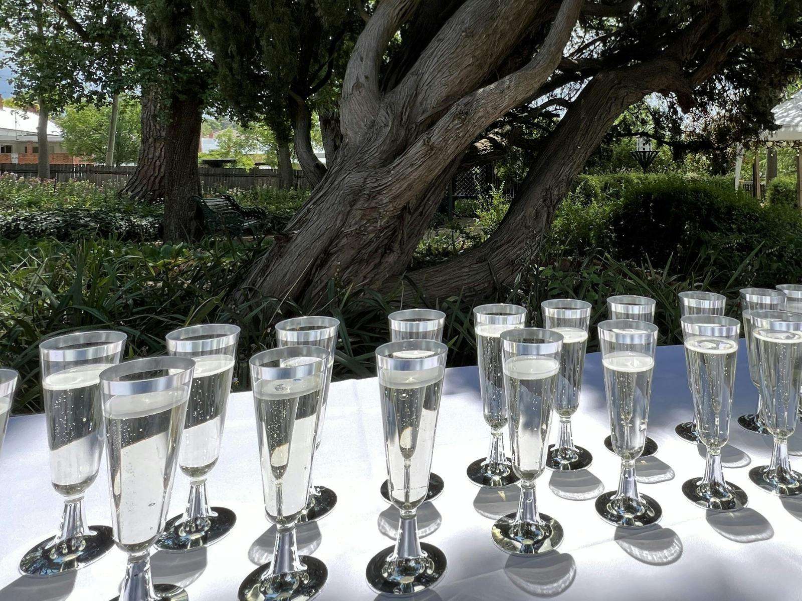 Wine glasses siton a table. The sun shines through them reflecting onto the tablecloth.