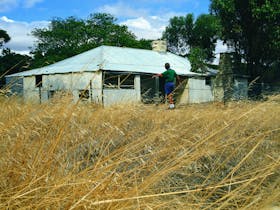Cunderdin image