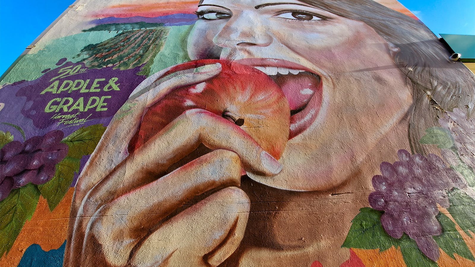 Apple & Grape Festival Mural by Drapl Apple & Grape Festival Mural by Drapl