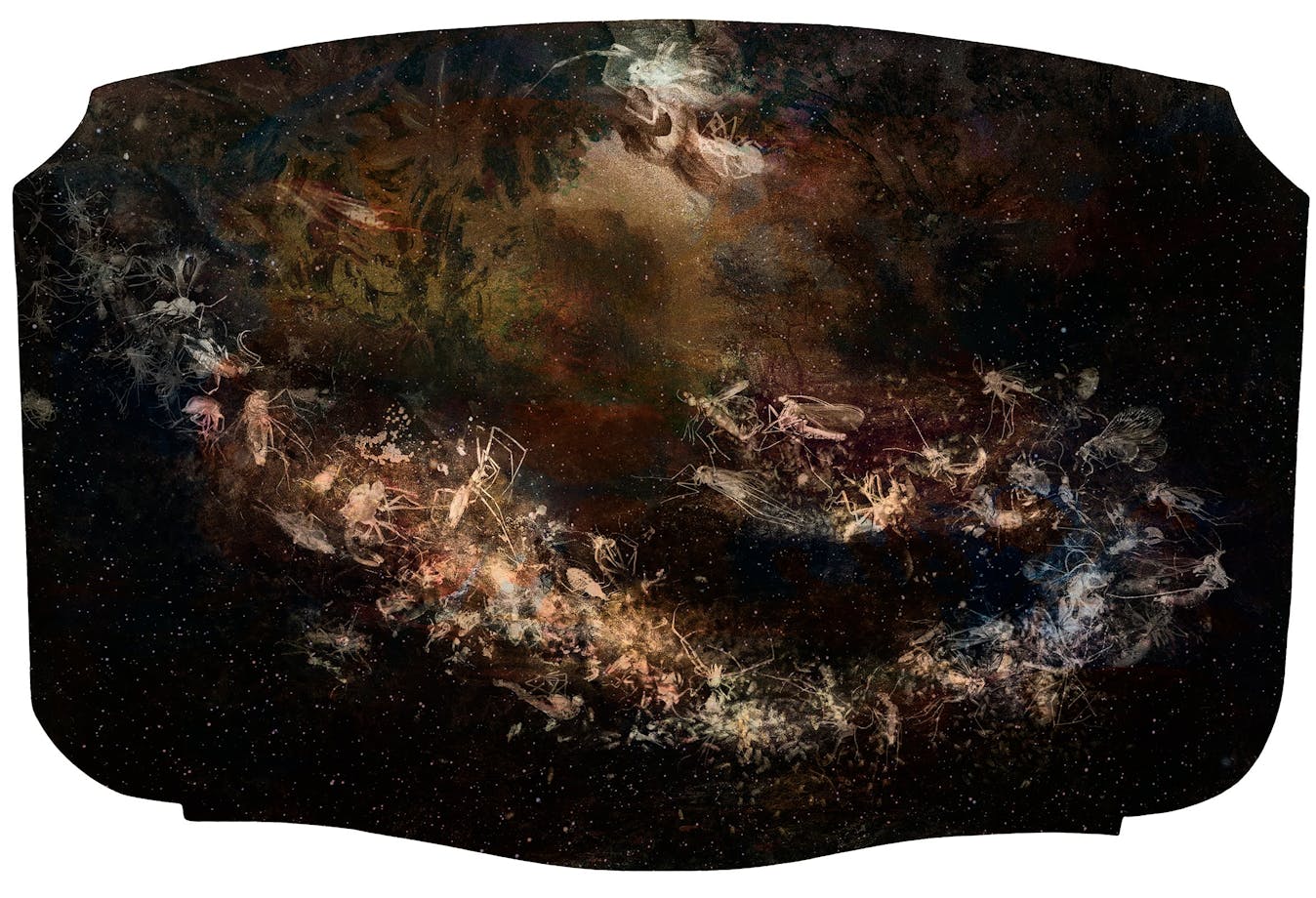 Lumachrome glass print, chemigram, cliché-verre, painting, sketch, collage.
