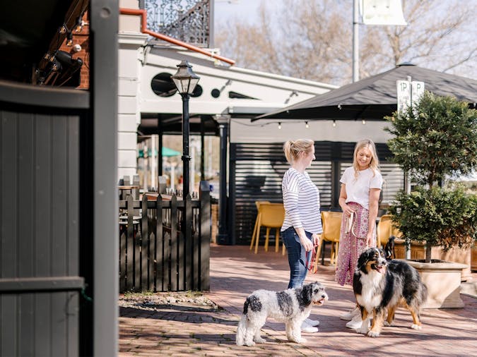 WellFest Adelaide Hounds on Hutt Hutt Street