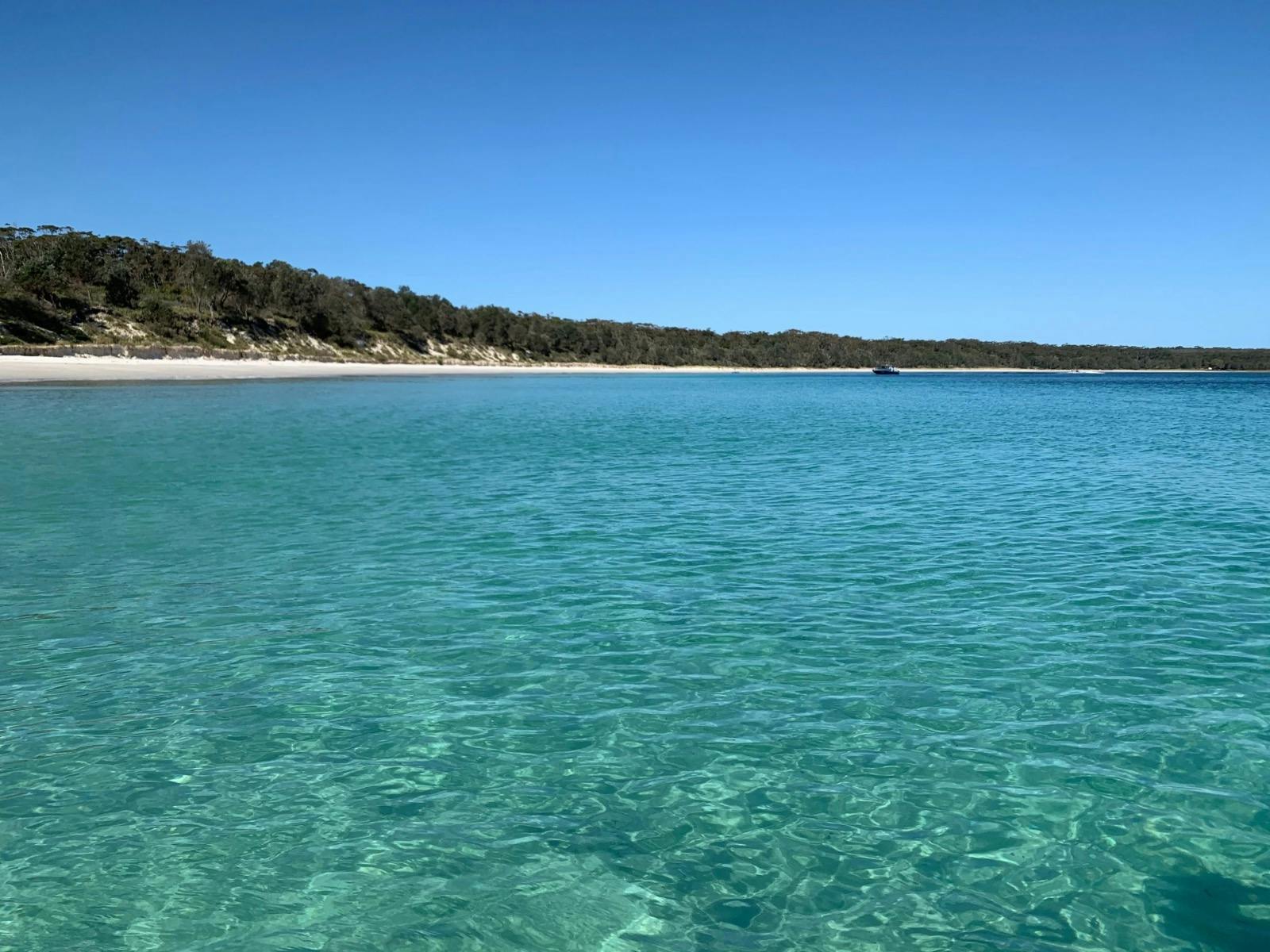 Beautiful surrounds on a local beach in Jervis Bay