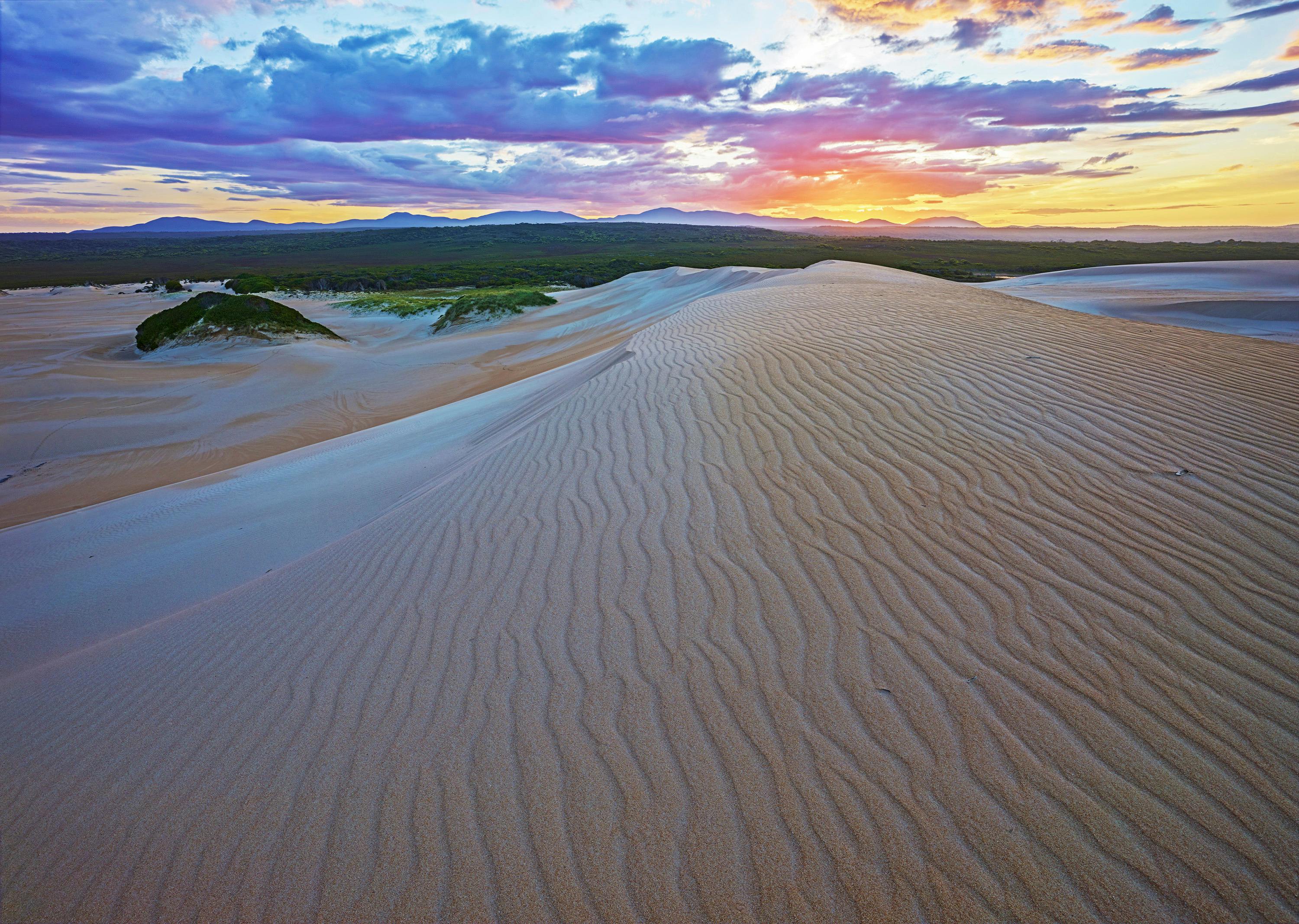 Tarkine Coast Expedition (six days)