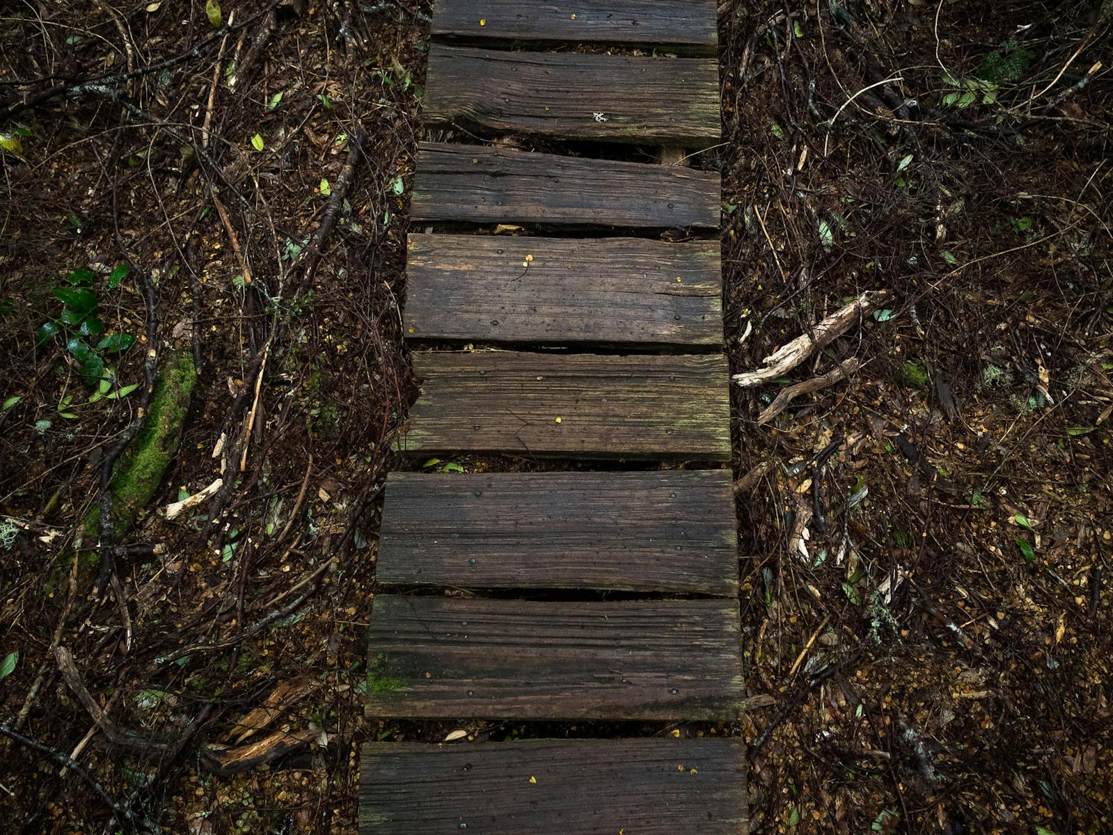 Overland Track Tasmania Hiking Photography