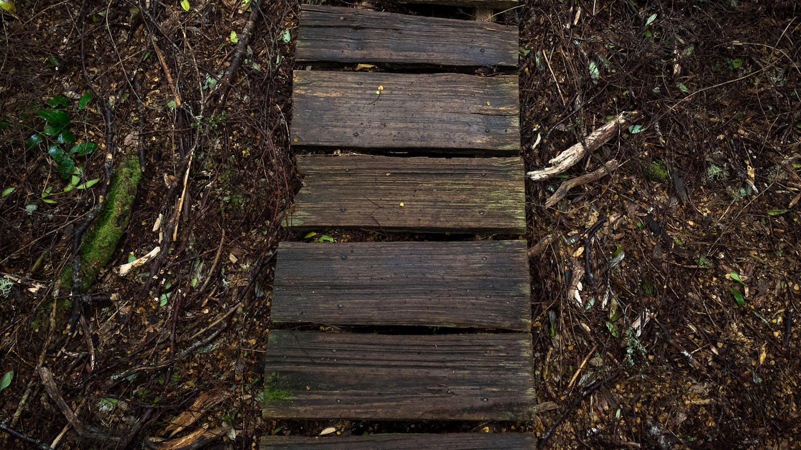 Overland Track Tasmania Hiking Photography