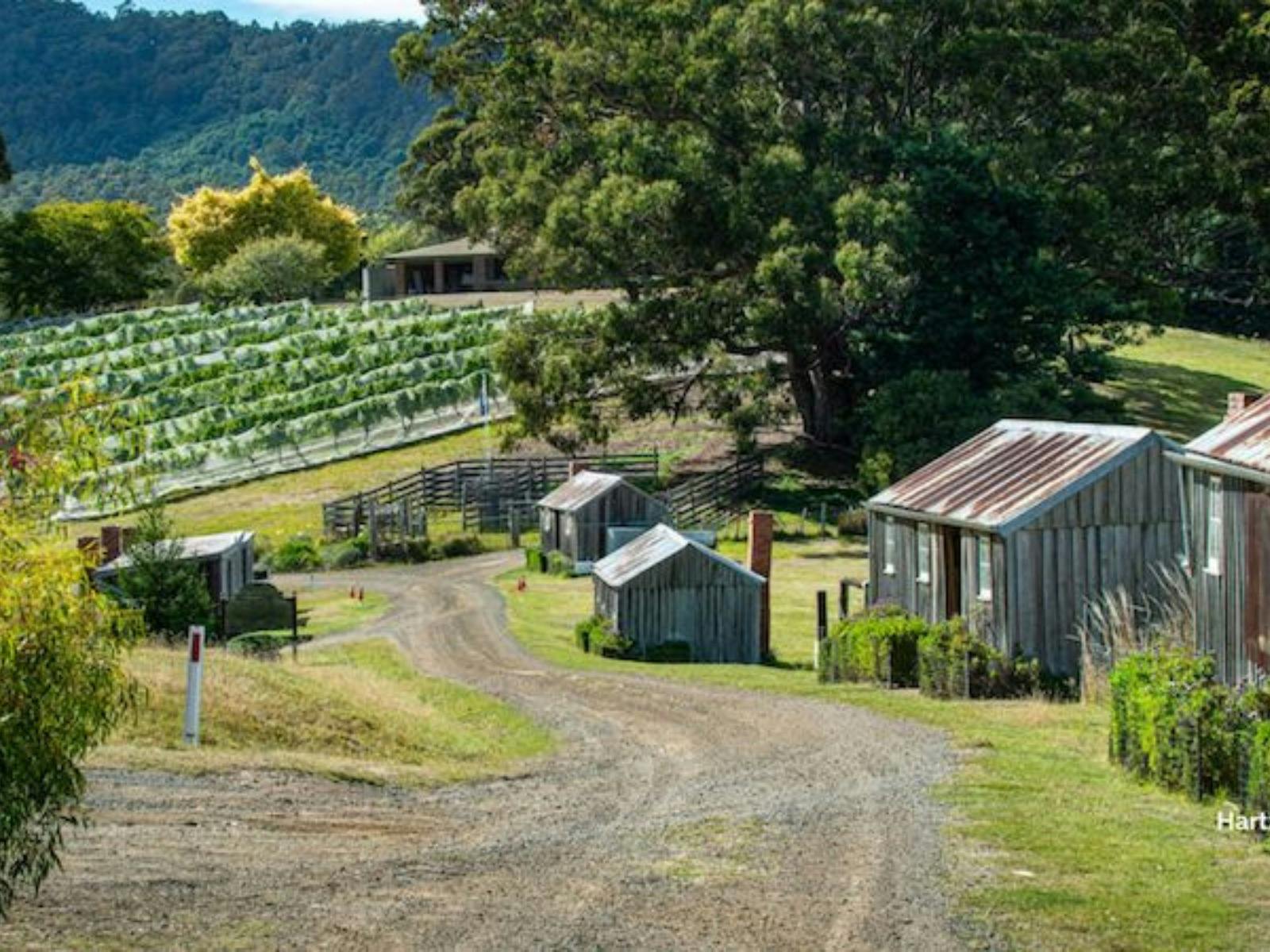 Foodie Lover Tours - Hartzview winey