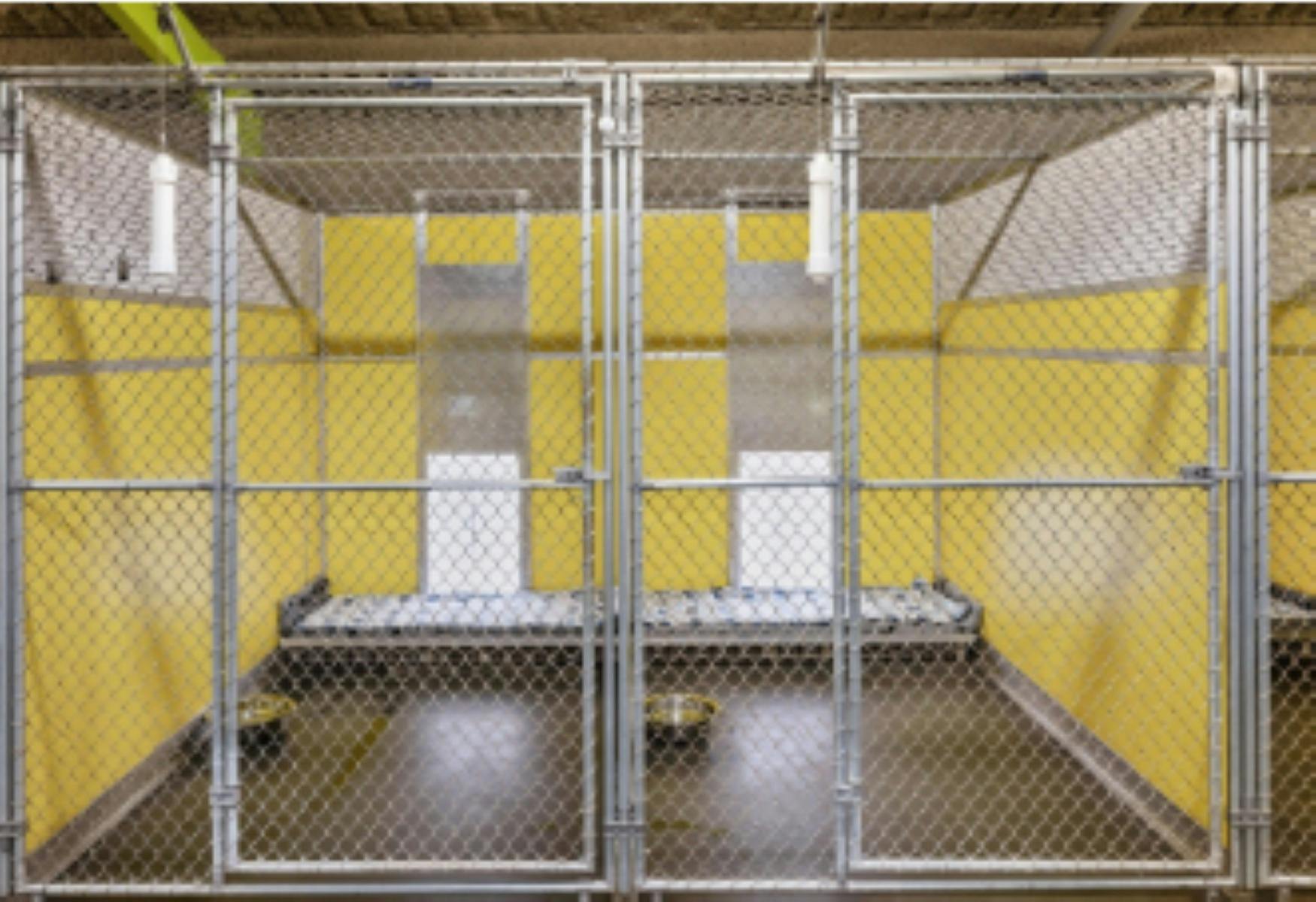 Pawtails Rural Retreat Laggan