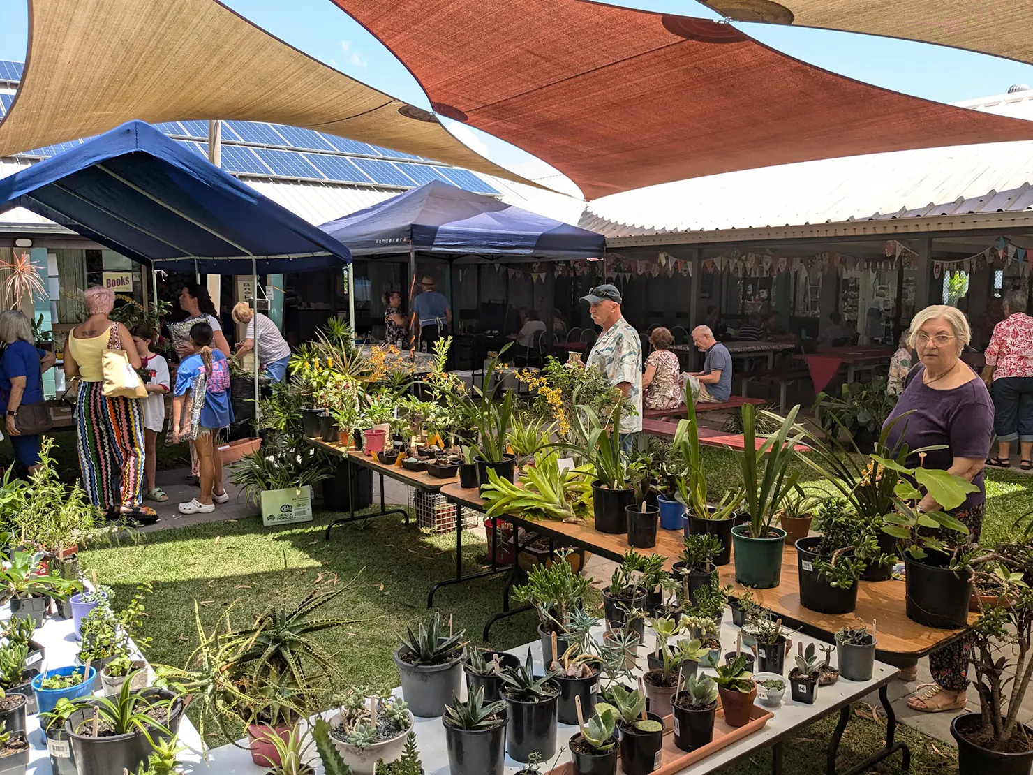 Tables filled with greenery at the plant stall of Caloundra Arts Centre's Artisan Fair