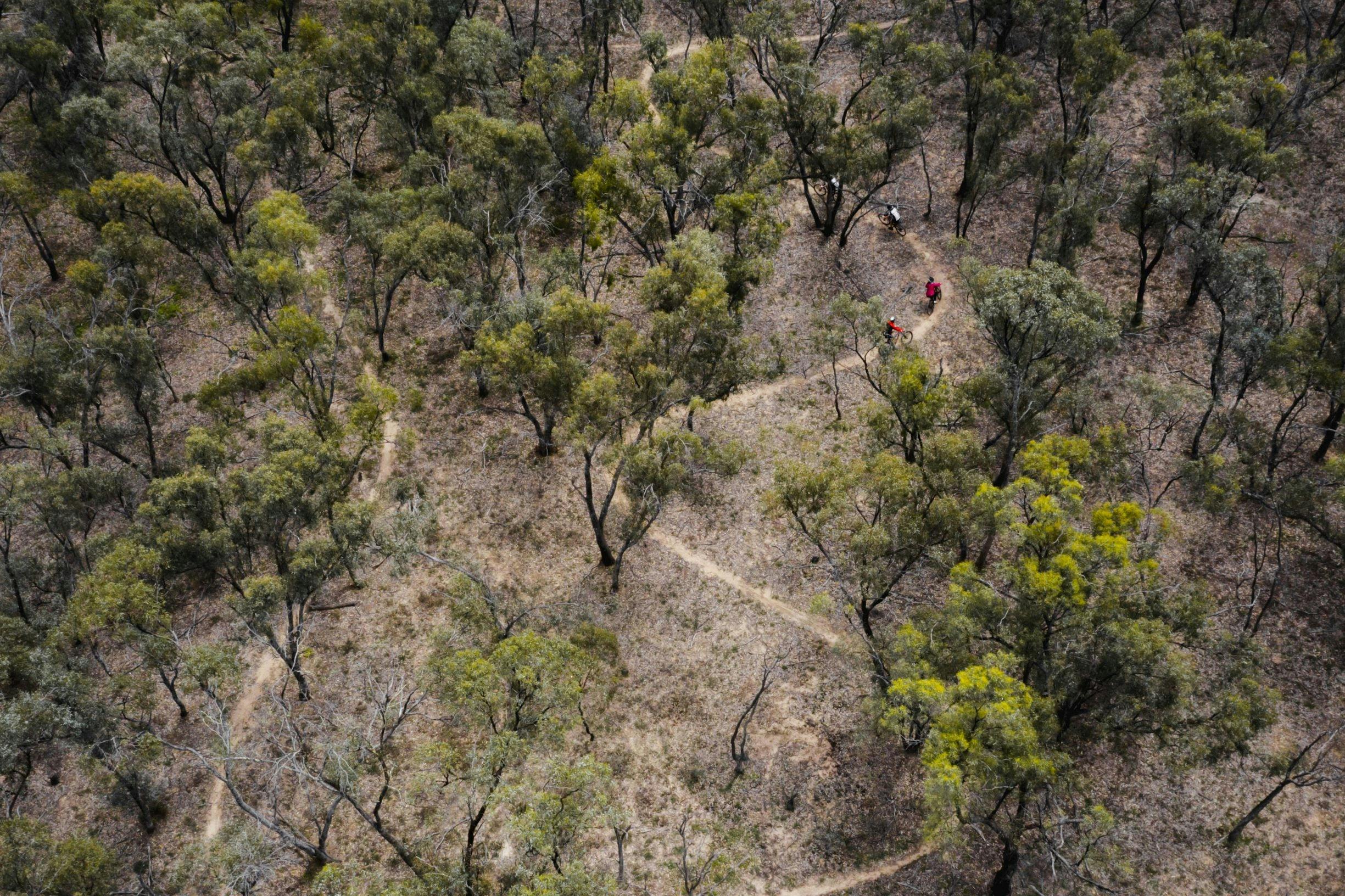 Murray Valley Regional Park Mountain Bike Trails - Deniliquin - Deni - Mountain Biking
