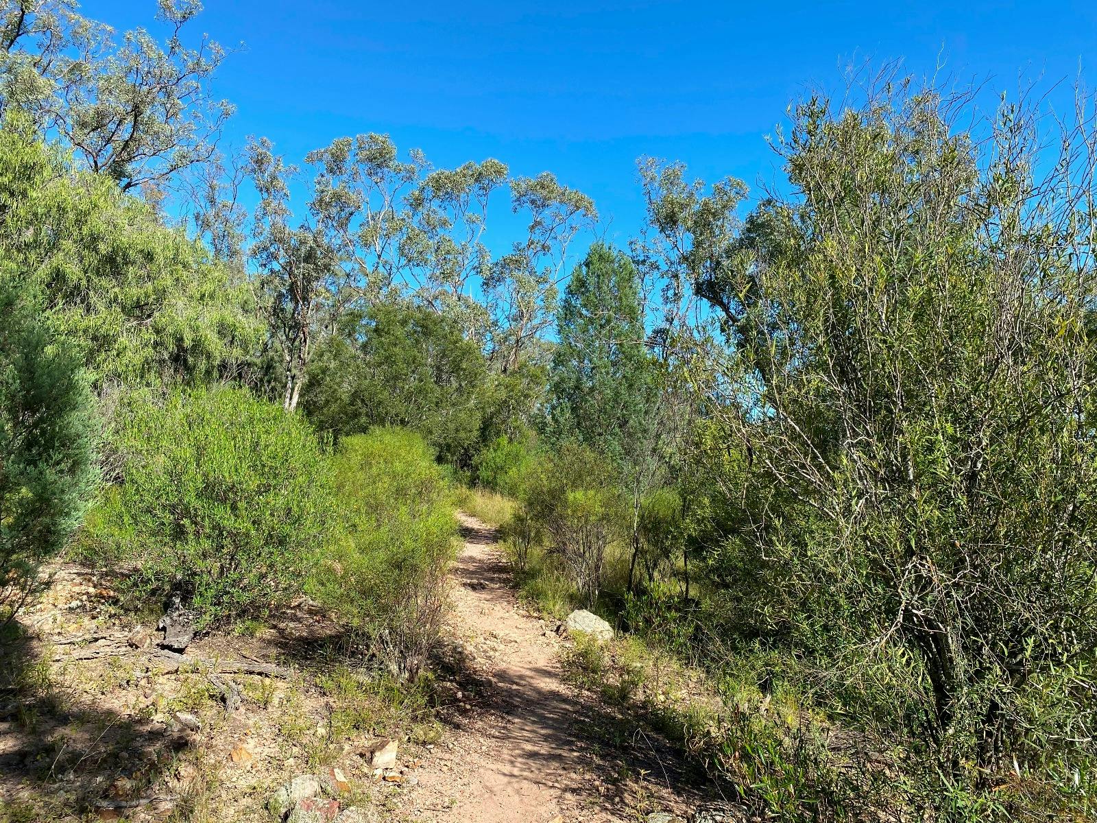 빈데아 워킹 트랙