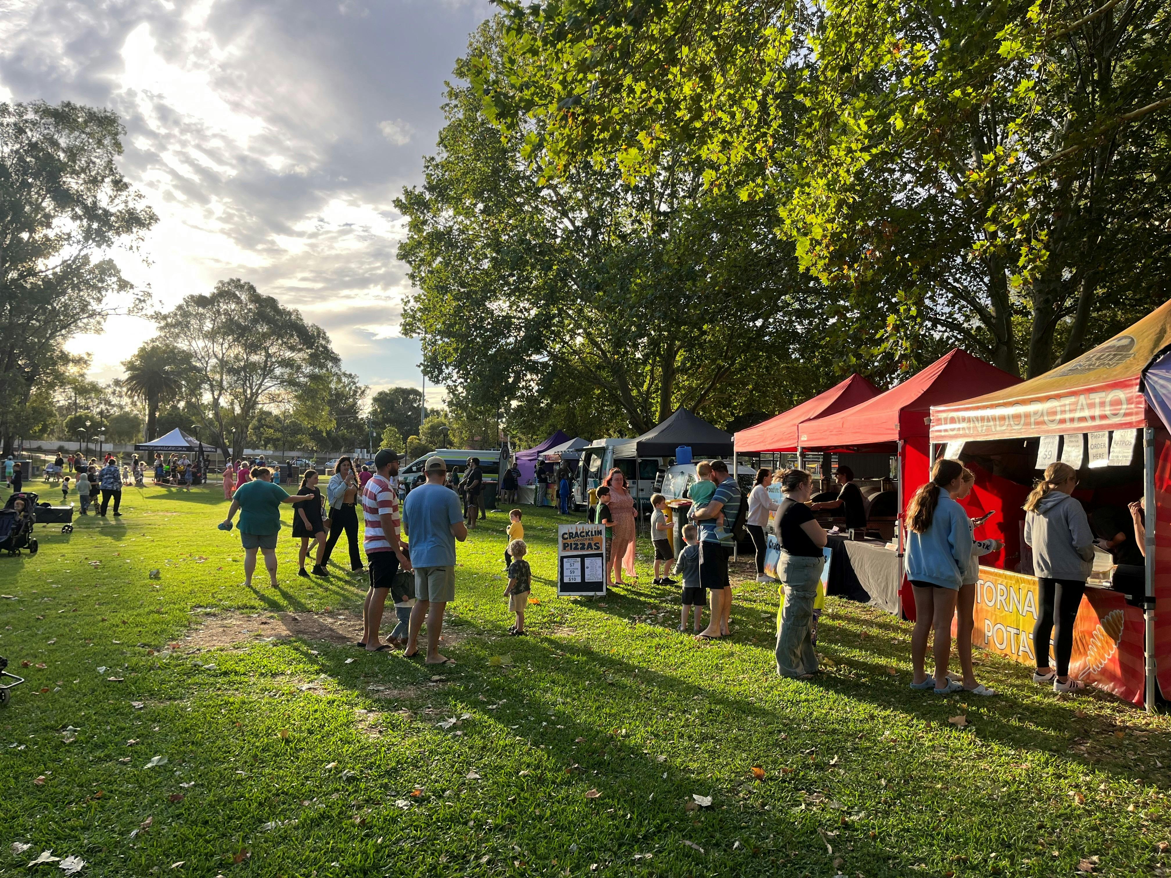 Cinema Under the Stars - Tamworth