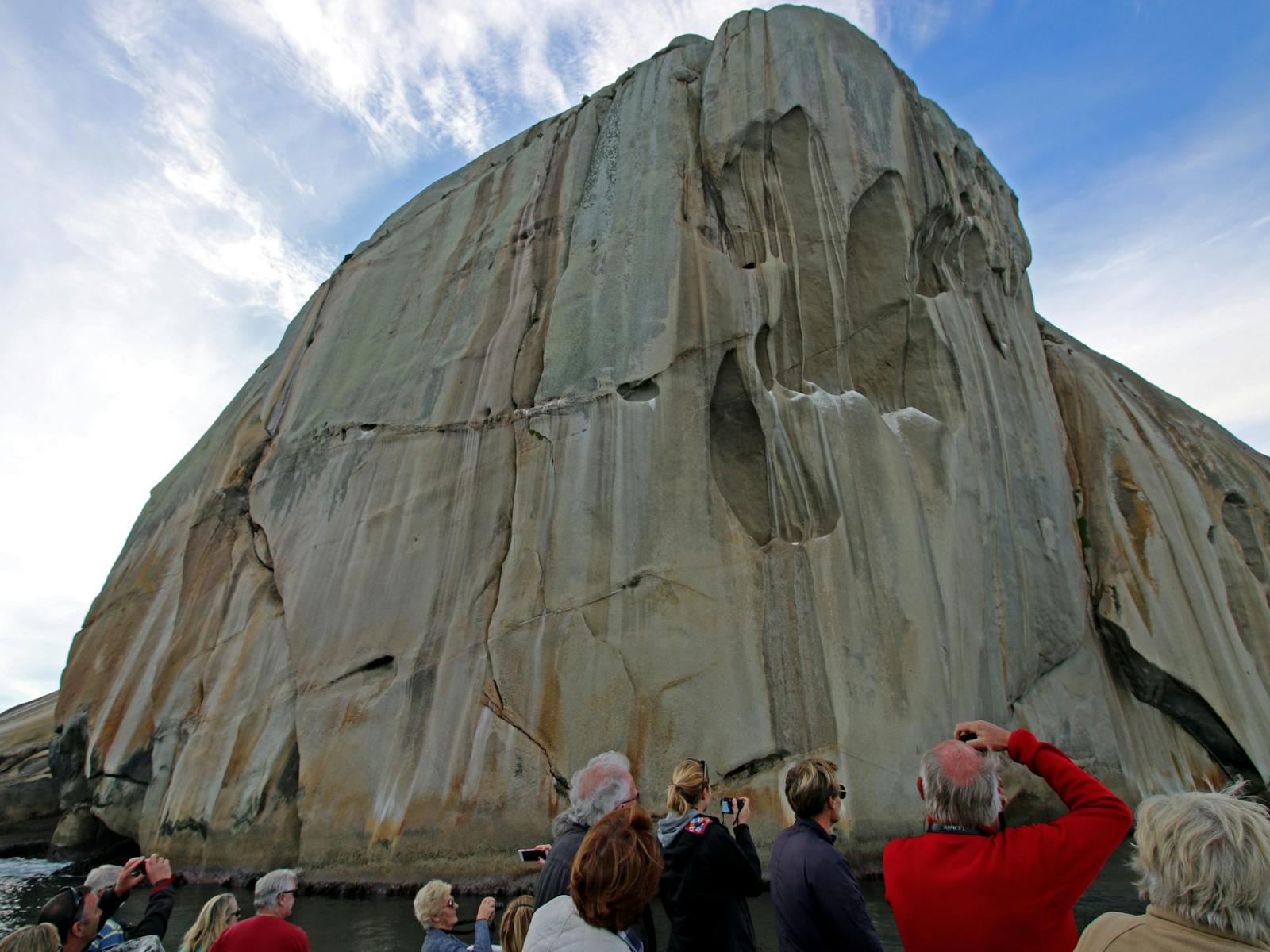 Wildlife Coast Cruises