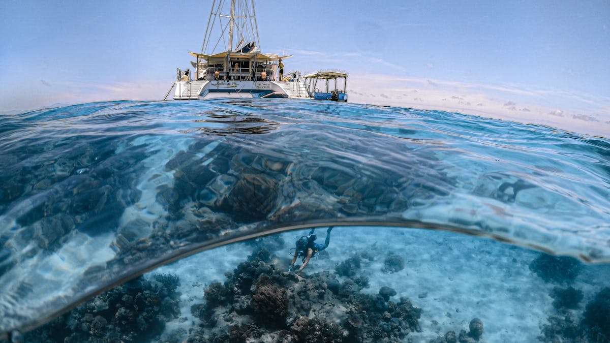 Coral Nurture Program under water with SAVII on the Outer Great Barrier Reef