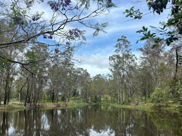 Rural dam surrounded by native trees at Hope Farmstay in the Gold Coast hinterland, Scenic Rim regio Rural dam surrounded by native trees at Hope Farmstay in the Gold Coast hinterland, Scenic Rim regio
