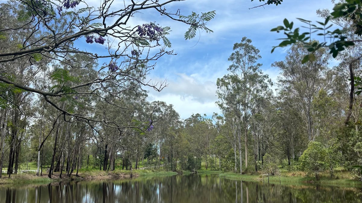 Rural dam surrounded by native trees at Hope Farmstay in the Gold Coast hinterland, Scenic Rim regio