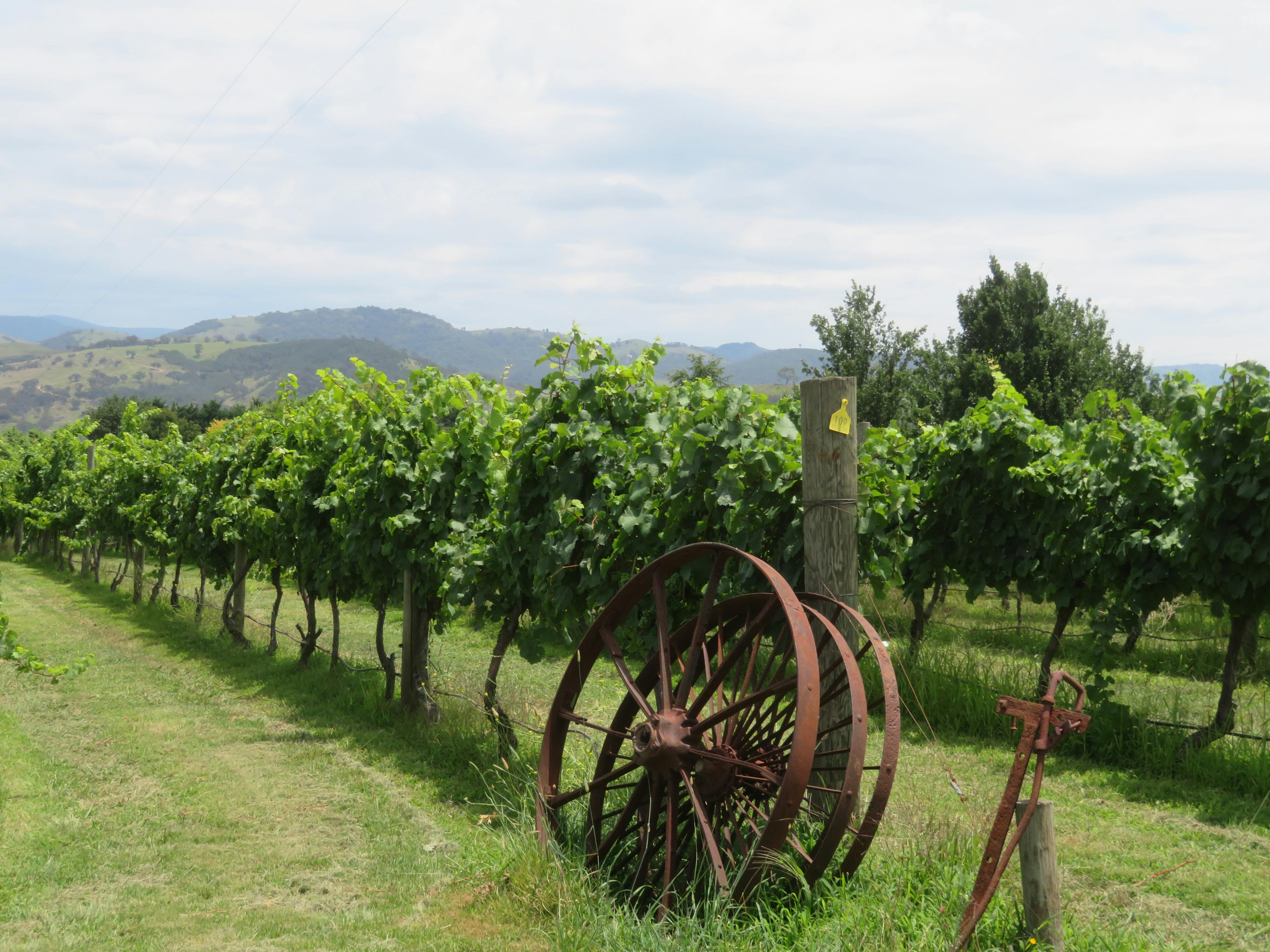 Canberra Winery Tour gourmet winery tour winery lunch tour Canberra Winery dinner tour
