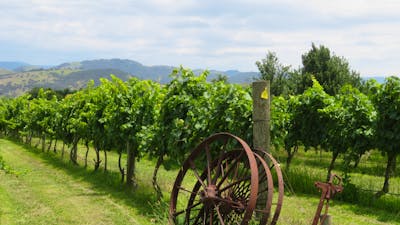 Canberra Winery Tour gourmet winery tour winery lunch tour Canberra Winery dinner tour