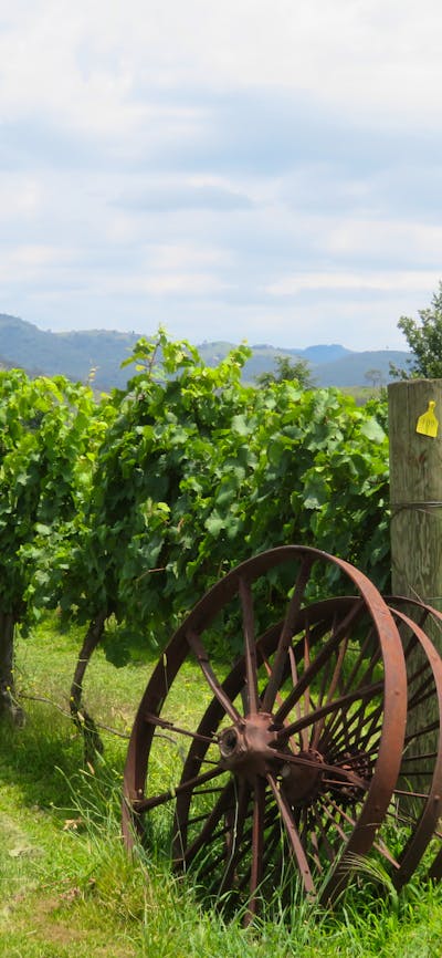 Canberra Winery Tour gourmet winery tour winery lunch tour Canberra Winery dinner tour