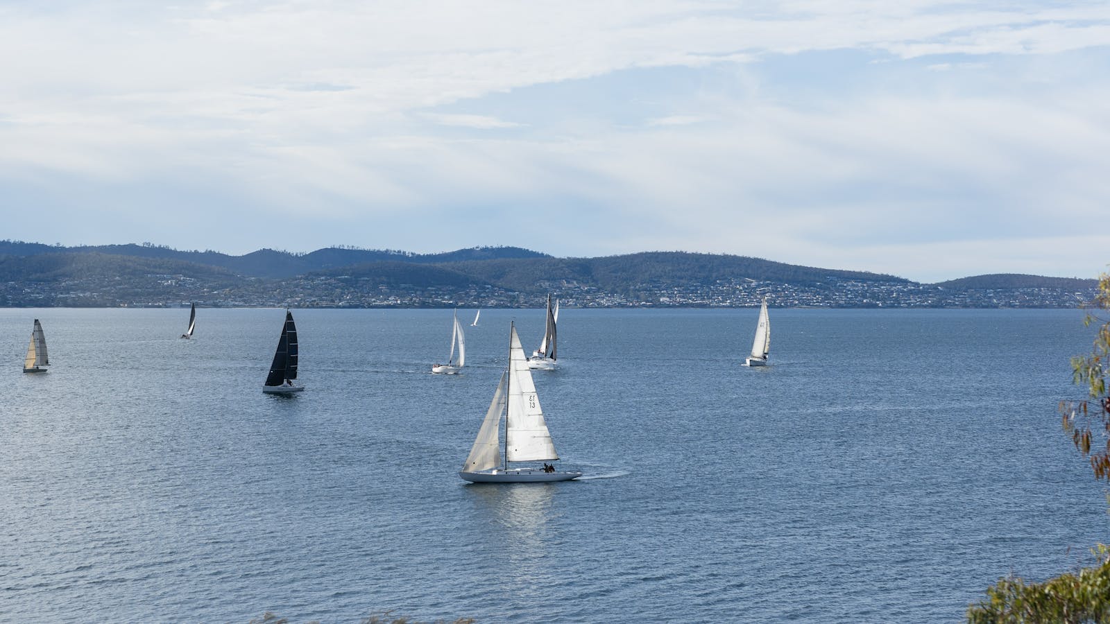 Harbour views