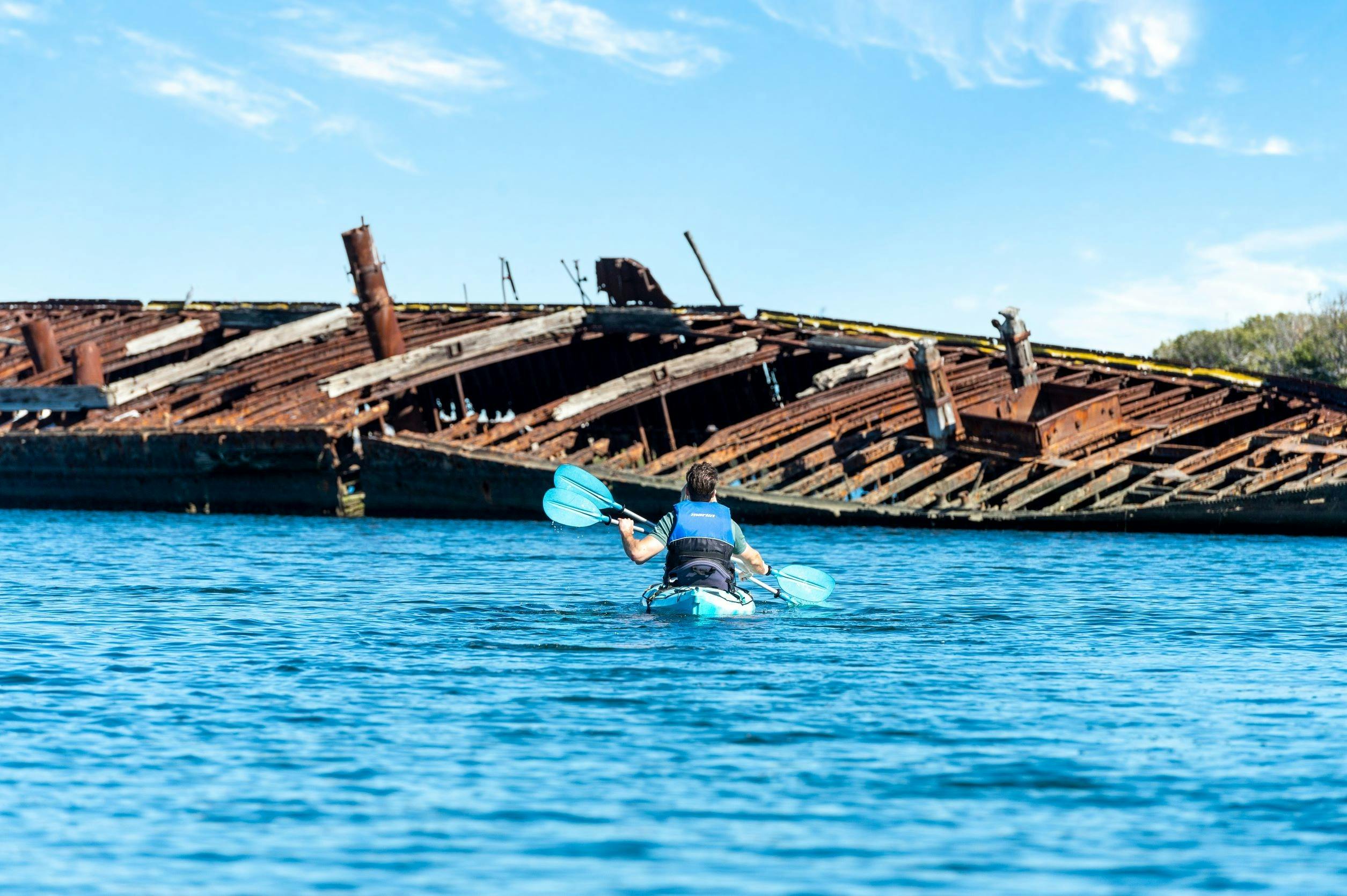 Dolphin Sanctuary Kayak Tours
