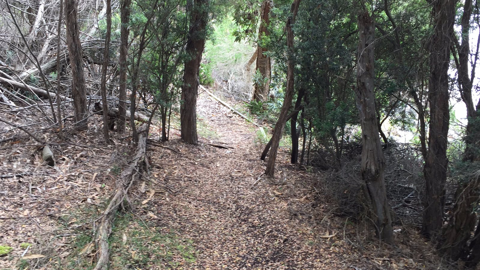 The Lady Barron Foreshore Walk