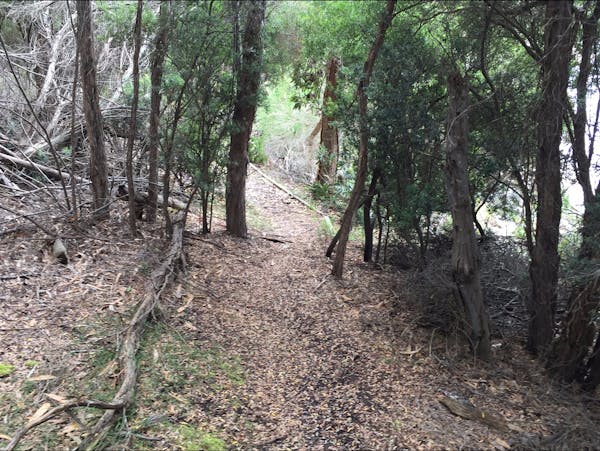 The Lady Barron Foreshore Walk