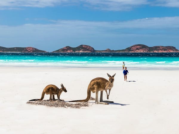 East Coast Car Rentals - Adelaide Airport