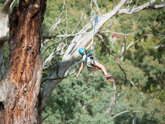 Mount Lofty Adventure Hub