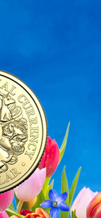 A coin in a bed of tulips