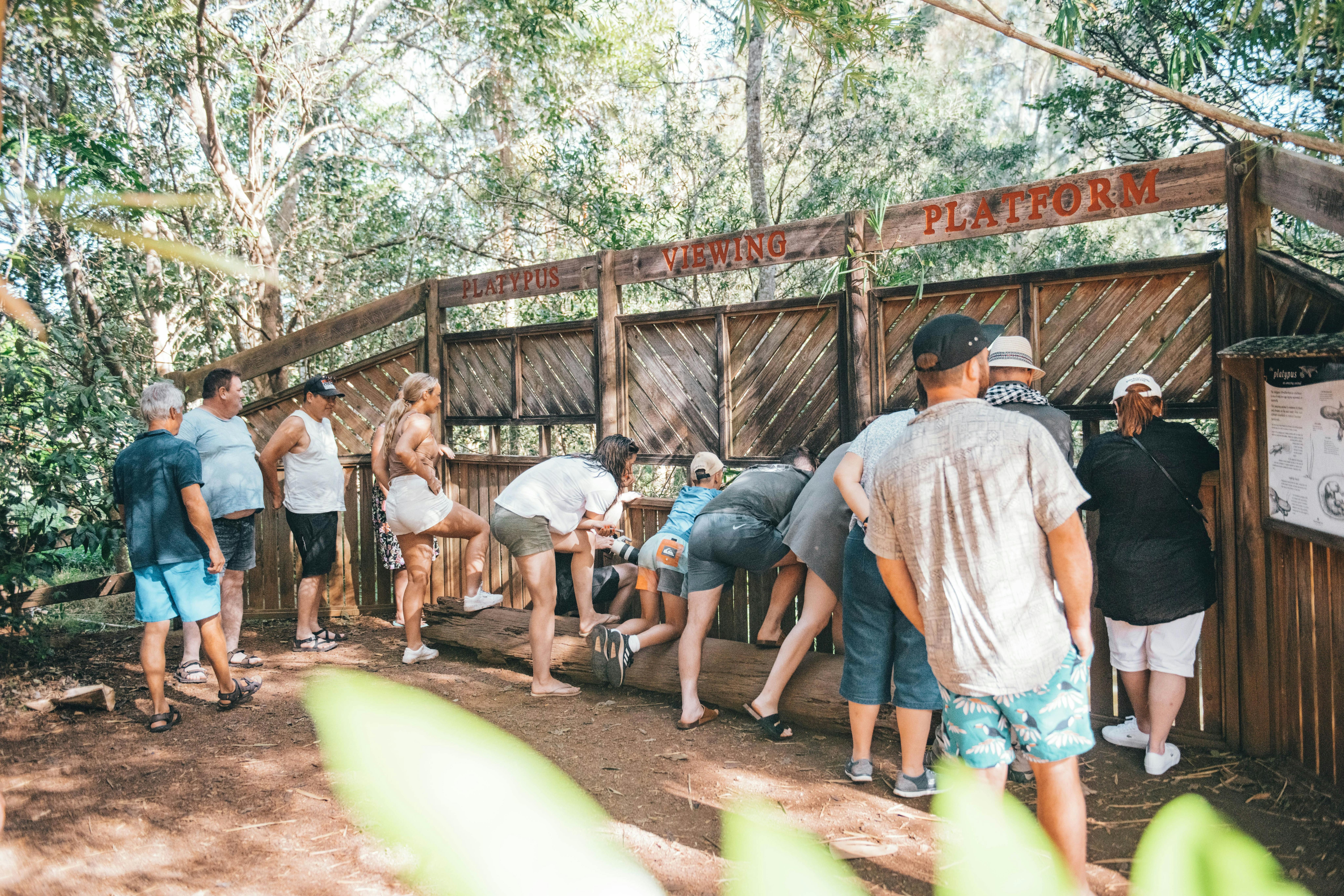 Group of young people look through platypus blind to spot wildlife in Yungaburra