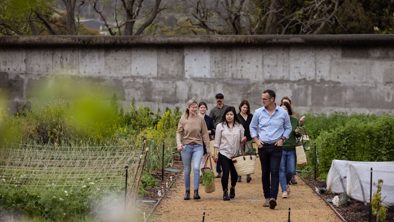 Guided tour of our 1-acre walled garden to harvest ingredients for the class