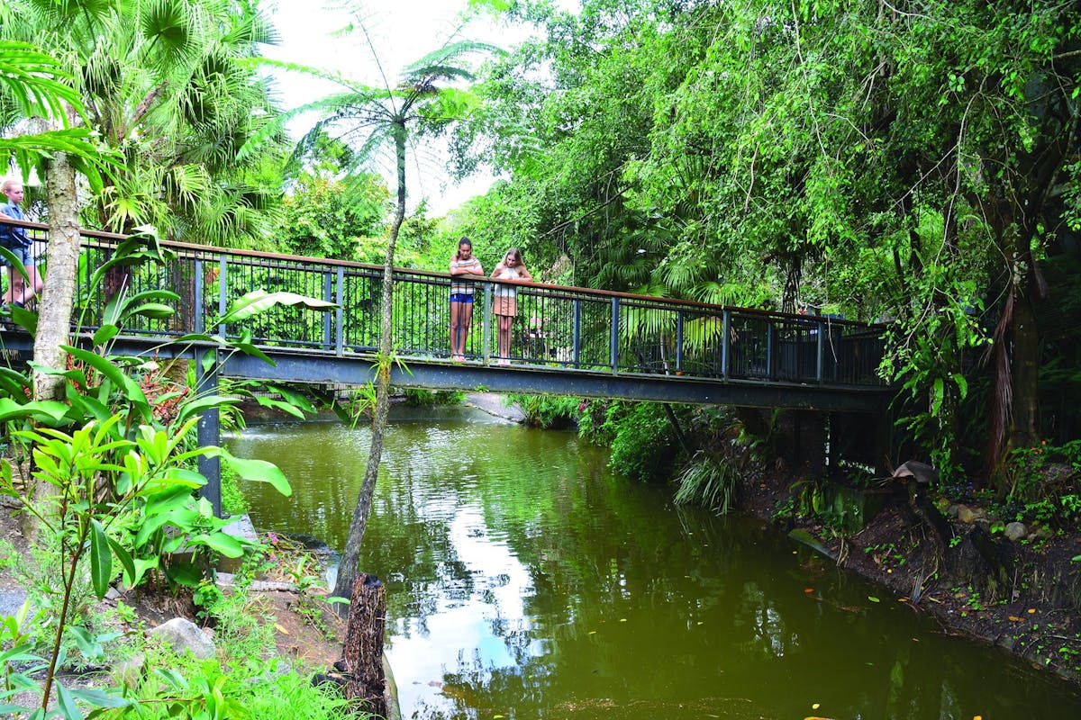 Freshwater Crocodile Pond Kuranda Koala Gardens