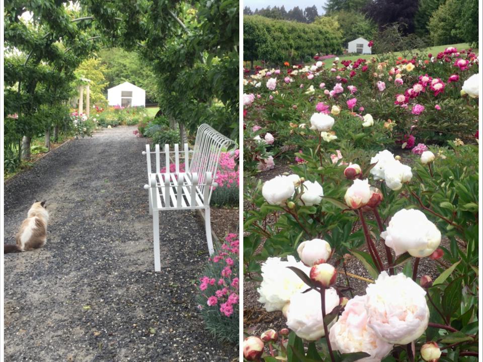 Kaydale Lodge Gardens photo
