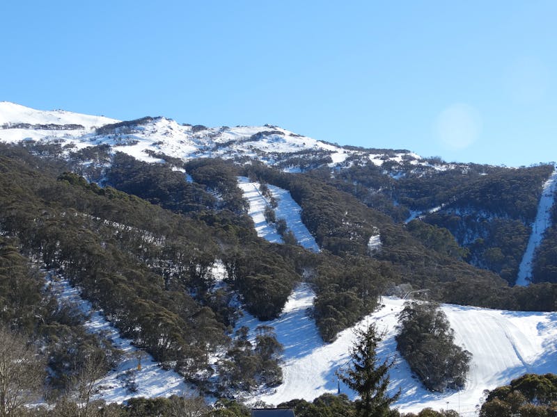 Attunga Ski Lodge Thredbo Sydney, Australia Official Travel