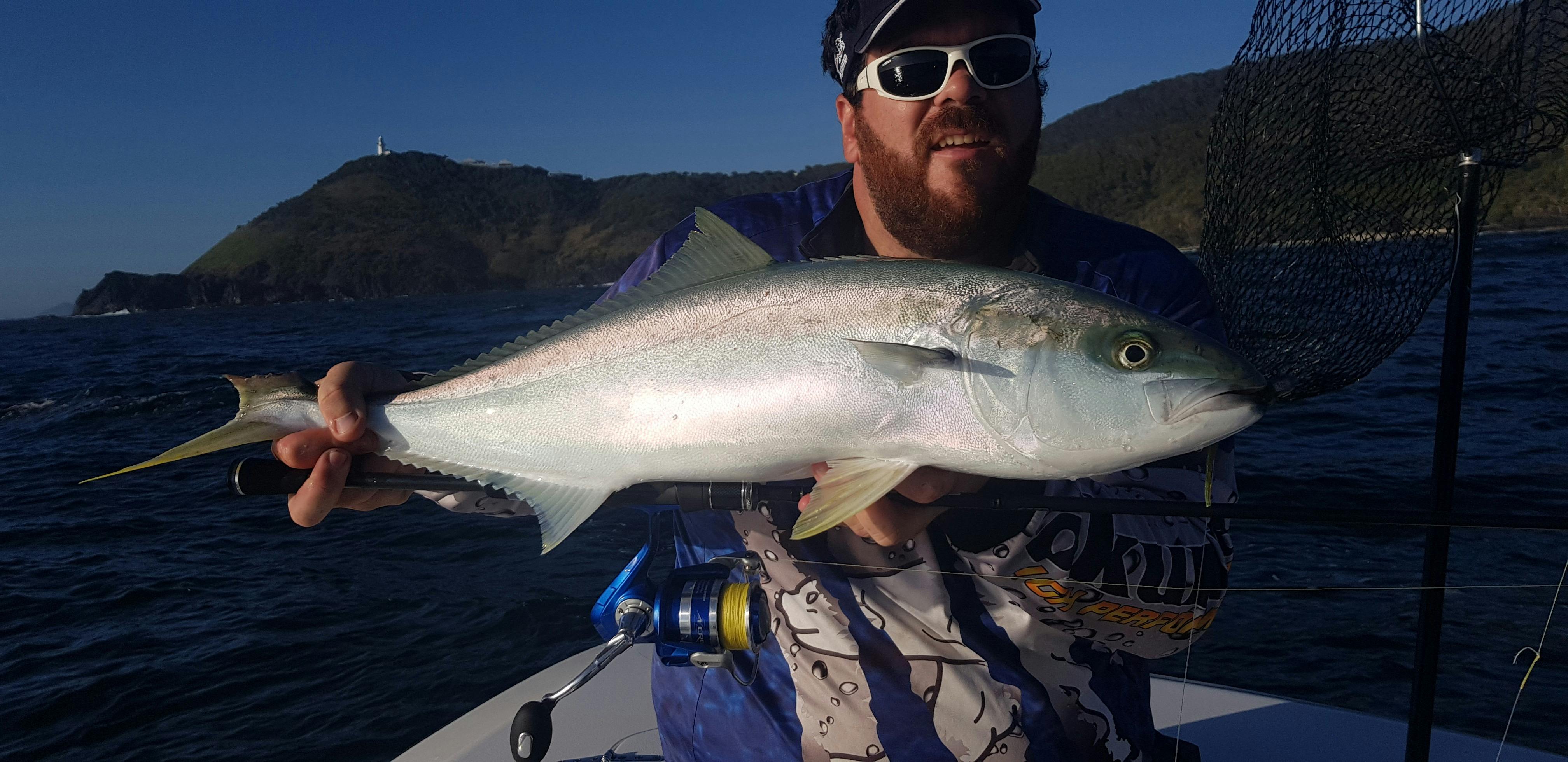 Fishing South West Rocks Luke's Kingfish