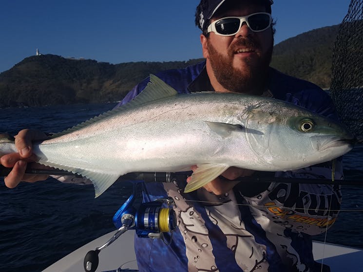 Fishing South West Rocks Luke's Kingfish