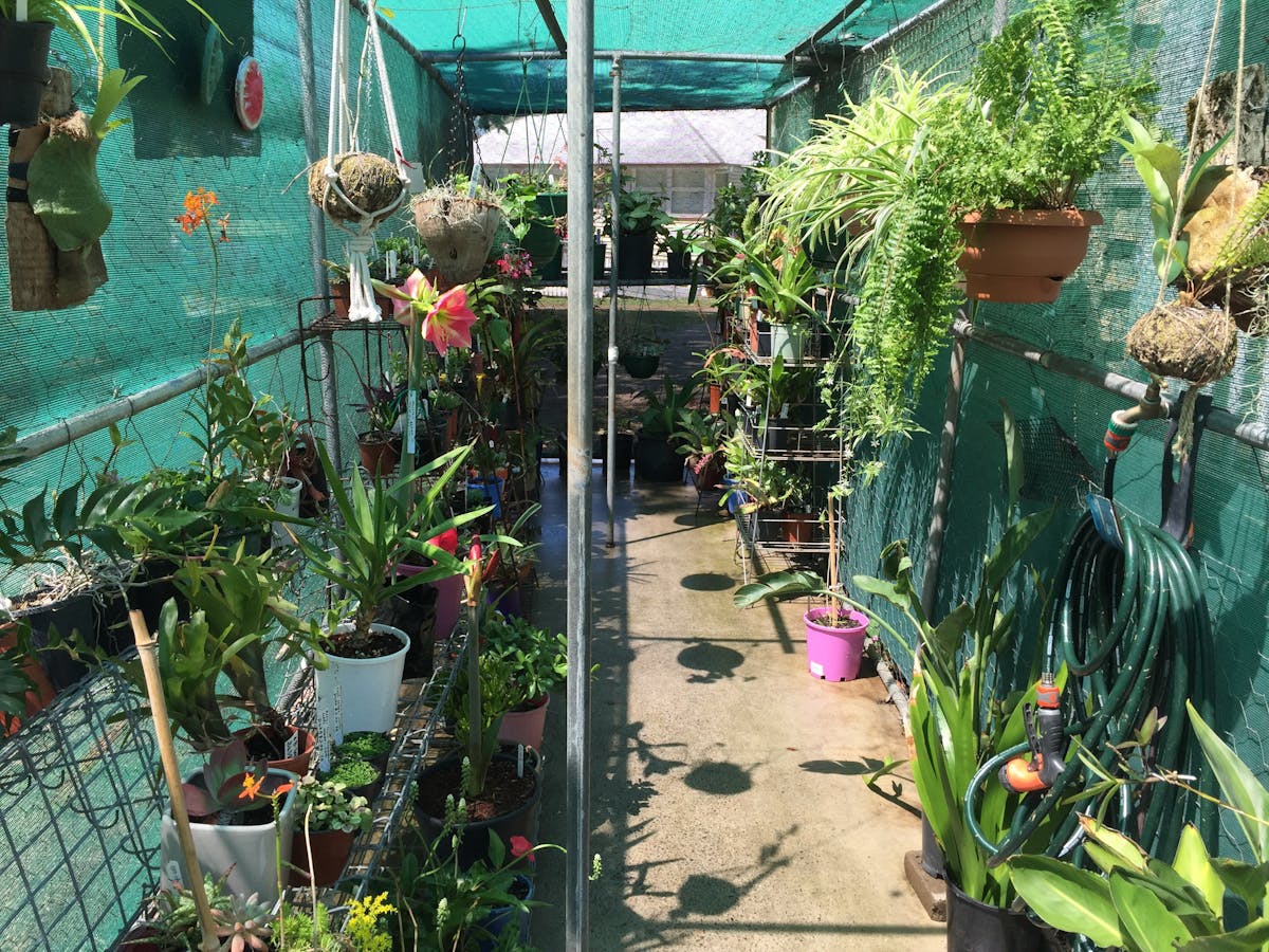Kilcoy Craft Market- Nursery