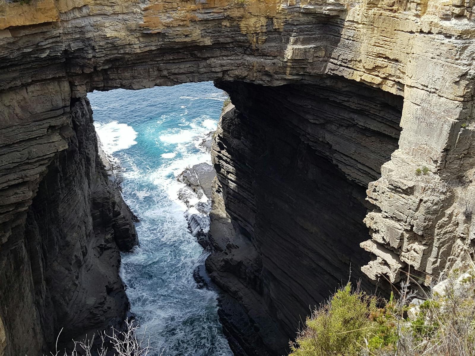 highest sea cliffs in the Southern Hemisphere