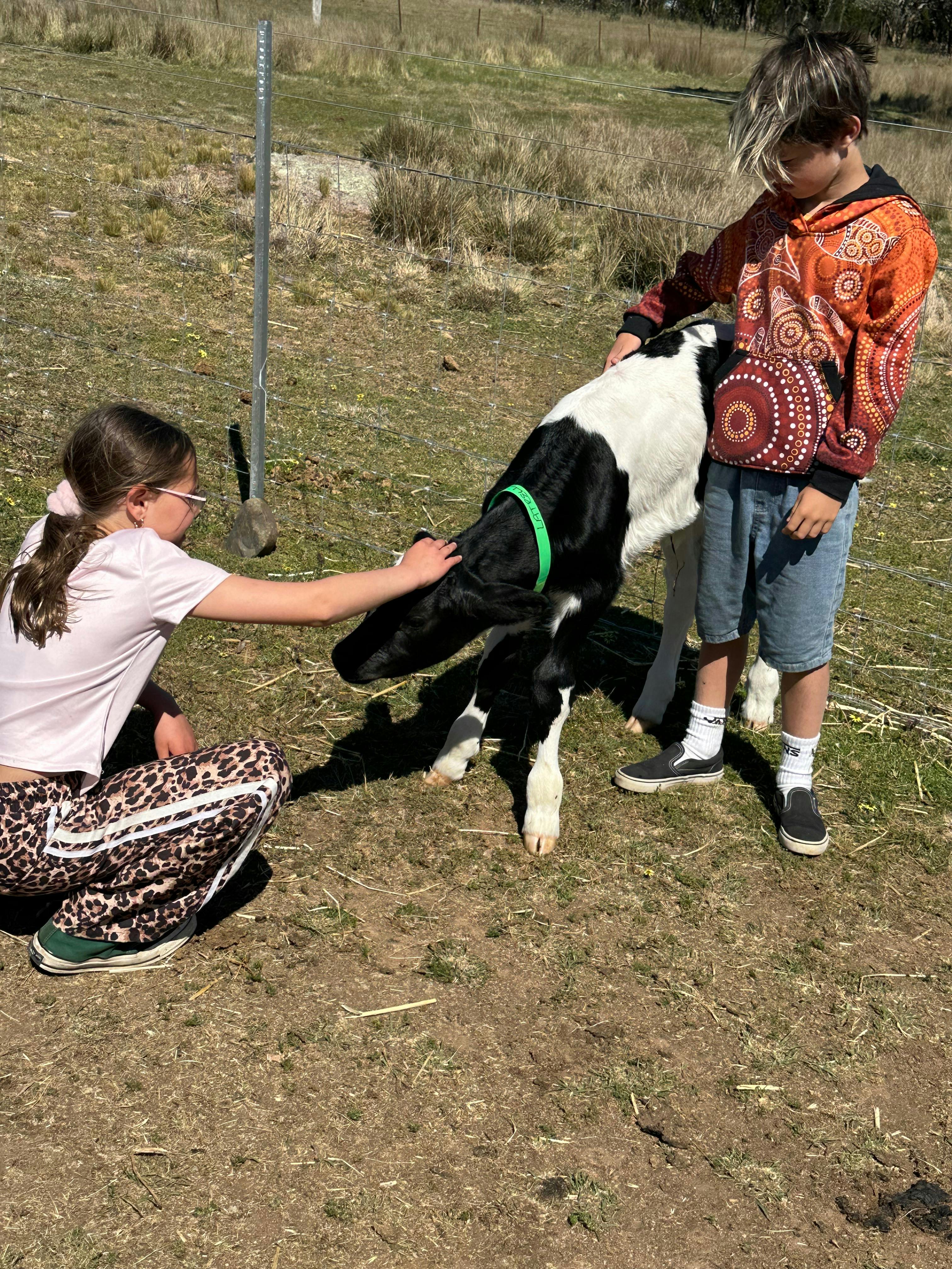 Siblings bonding with a mooo