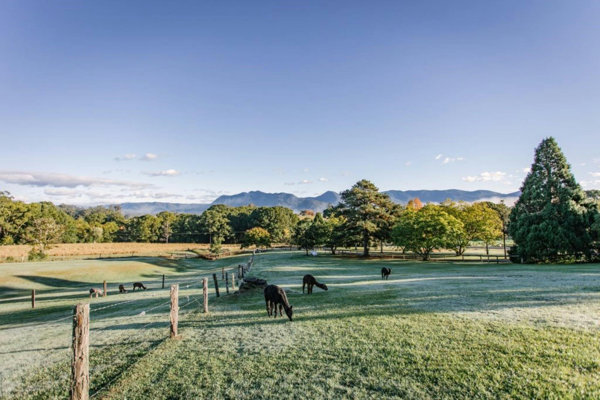 ロッジ ベリンゲン