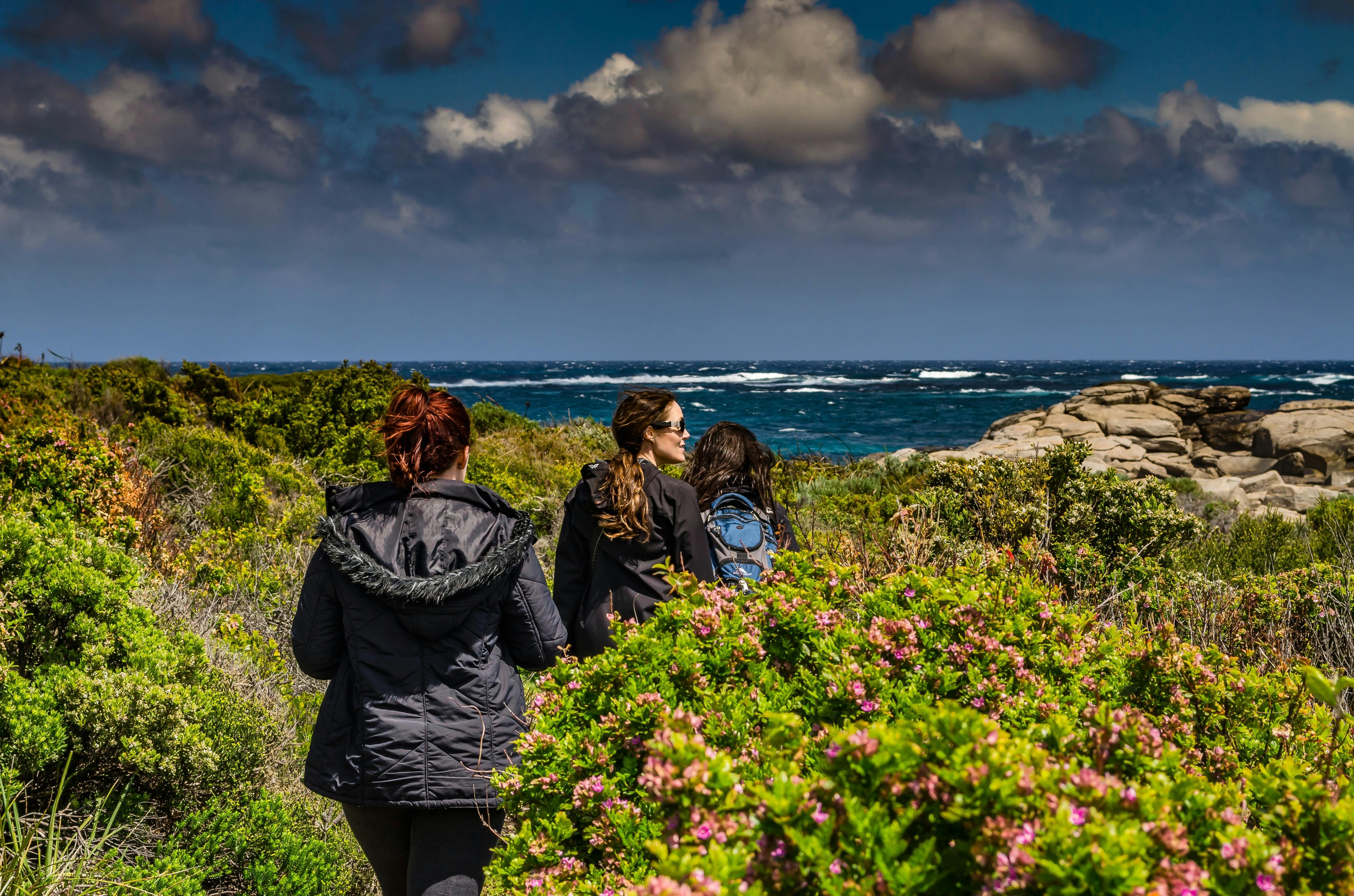 Three women walking towards the bright azure  beauty of Indian Ocean and sky - Cape to Cape Track.