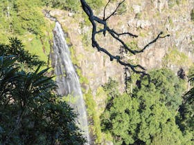 Green Mountains Section of Lamington National Park