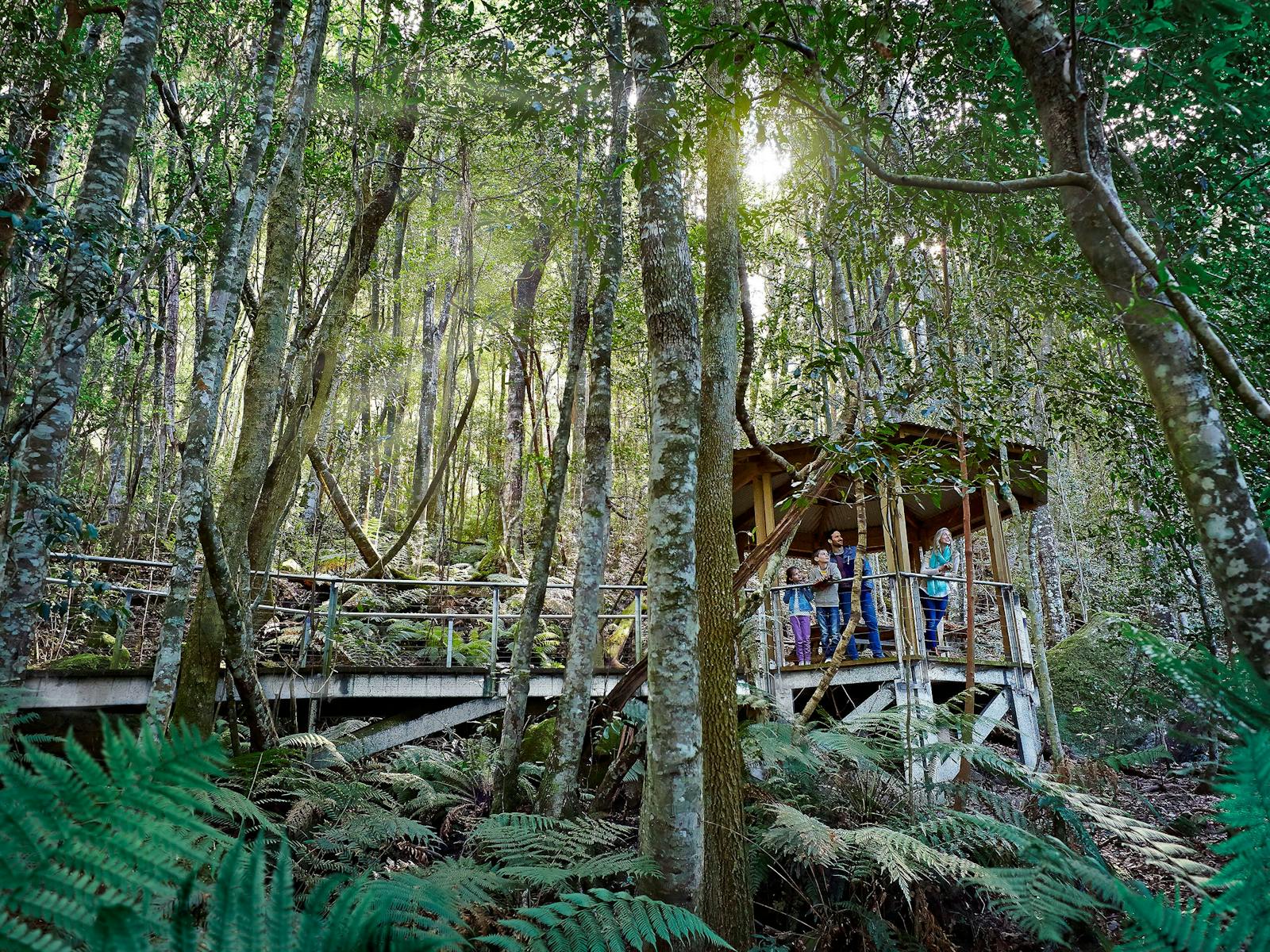 Scenic World Blue Mountains