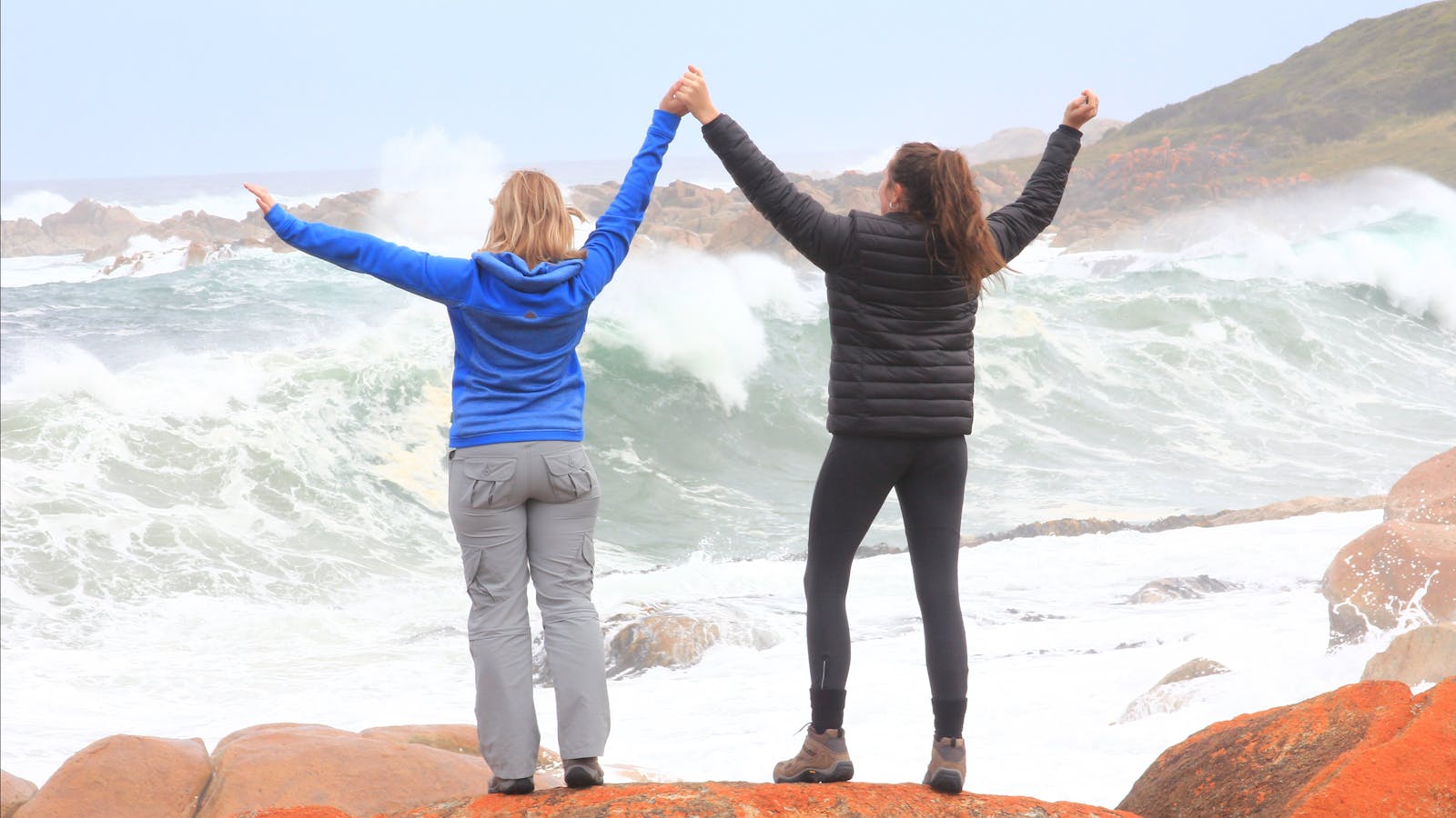 Wild Ocean on Tasmania Wilderness Explorer tours with Spirit Safaris