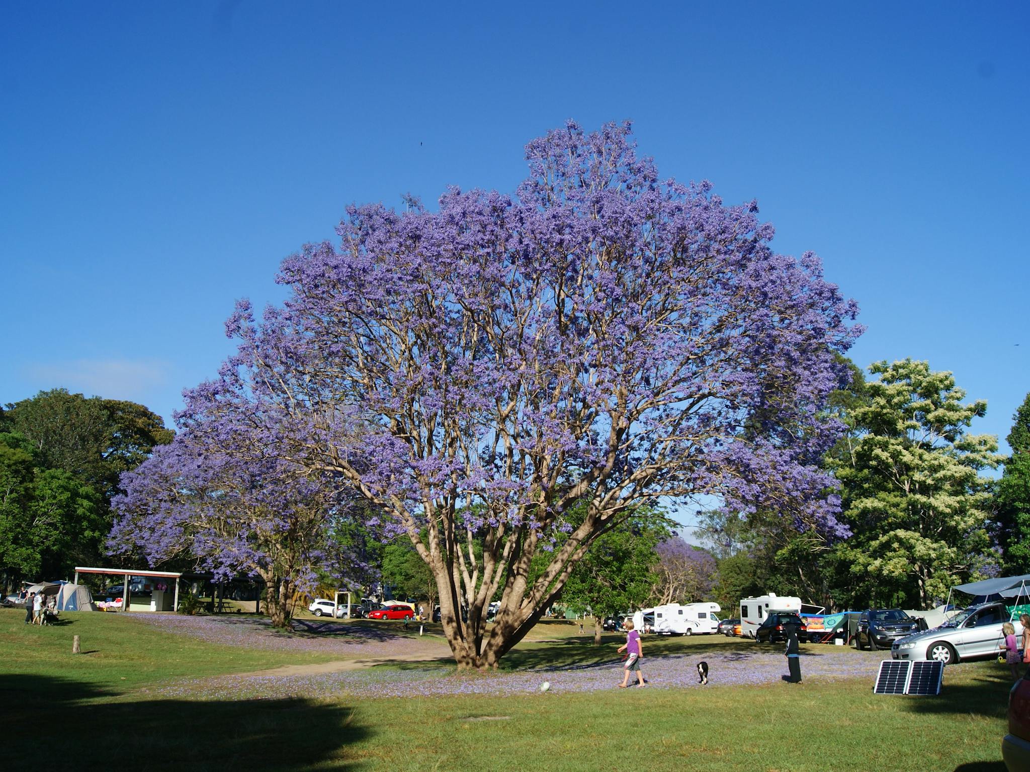 Imbil Camping Retreat